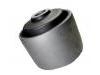 悬架衬套 Suspension Bushing:55045-0M000