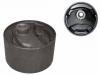 Suspension Bushing:MB 436537