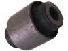 Control Arm Bushing:55157-AG000