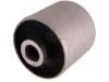 Suspension Bushing:55290-3E002