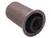 Suspension Bushing:55256-3A100