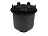 Suspension Bushing:62416-4D000