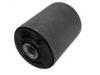 Suspension Bushing:55118-4H500