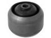 Suspension Bushing:55501-AV605