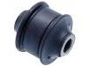 Suspension Bushing:4162A003